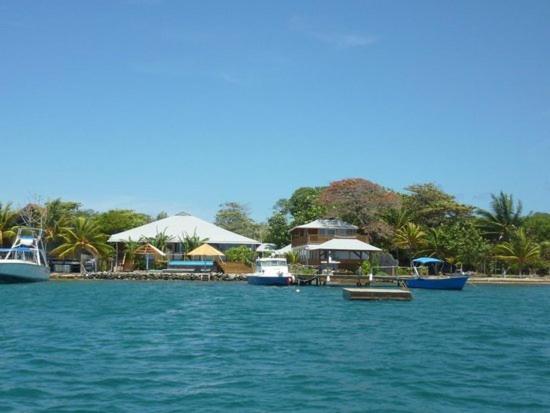 Wikkid Resort Dixon Cove Екстериор снимка