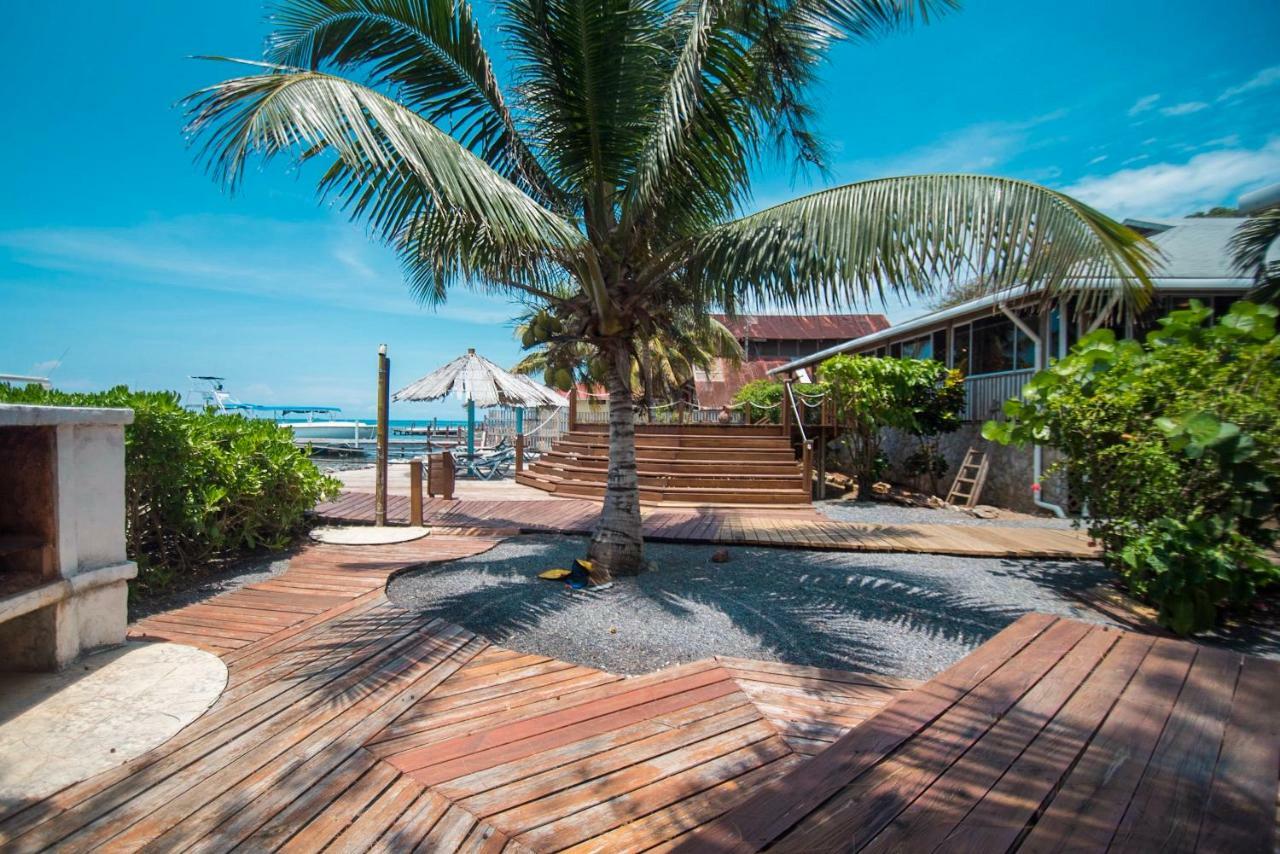 Wikkid Resort Dixon Cove Екстериор снимка